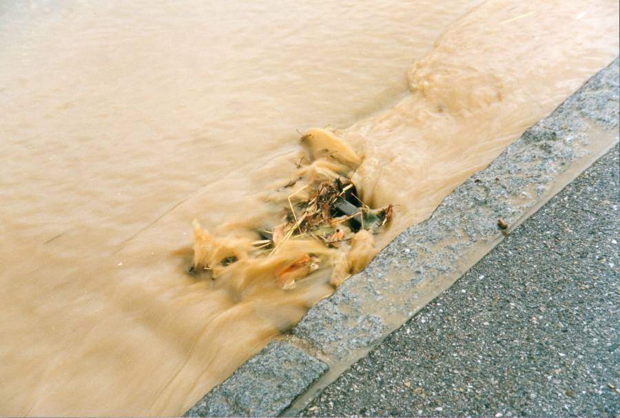 Straßenverunreinigungen gelangen mit dem Regenwasser über die Kanalisation oder direkt in das Gewässer.